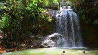 Suva Nature and Waterfall tour