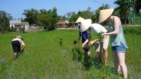 ホイアンから行く午後の田園地帯のサイクリング ツアー ホイアンから行く午後の田園地帯のサイクリング ツアー