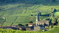 Visite du Rhône Valley Wine