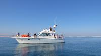 Full-Day Reef Fishing from Vilamoura