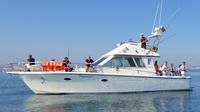 Private Fishing Trips from Vilamoura