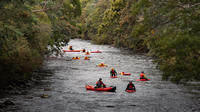 Meander River Sledding Experience