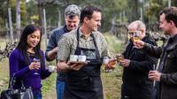 Chef-Led Hunter Valley Gourmet Food and Wine Day Trip from Sydney