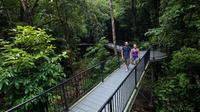 4-Day Cairns and the Great Barrier Reef Including Green Island and the Daintree Rainforest