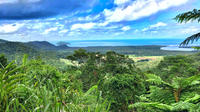 Visite Privée de Cairns Y compris Daintree National Park Rainforest, Cape Tribulation et Mossman Gorge