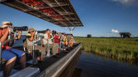 Photographic River Cruise on The Chobe