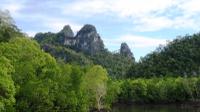 Demi-journée Geopark Mangrove Croisière de Langkawi