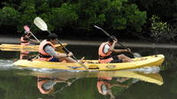 Mangrove Kayaking Tour from Langkawi