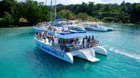 Jamaica Dunn's River Falls Party Cruise with Snorkeling