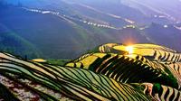 Bus Tour: Longji Rice Terraces and Local Minority Village Tour