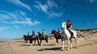 Beach Horse Riding in Connemara on the Wild Atlantic Way - Half Day Guided Tour