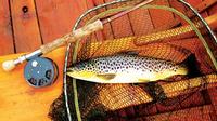 Brown Trout Fly Fishing Day Tour in Lough Corrib County Galway image 1 Brown Trout Fly Fishing Day Tour in Lough Corrib County Galway image 1