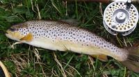 Brown Trout Fly Fishing Day Tour in Lough Corrib County Galway image 1 Brown Trout Fly Fishing Day Tour in Lough Corrib County Galway image 1