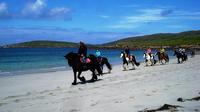 Day Tour: Connemara Wild Atlantic Way Guided Beach Horseback Ride from Galway