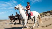 Day Tour: Connemara Wild Atlantic Way Guided Beach Horseback Ride from Galway image 1 Day Tour: Connemara Wild Atlantic Way Guided Beach Horseback Ride from Galway image 1