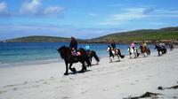 Guided Beach Horse Riding Excursion: Wild Atlantic Way Connemara