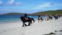 Guided Beach Horse Riding Excursion: Wild Atlantic Way Connemara image 1 Guided Beach Horse Riding Excursion: Wild Atlantic Way Connemara image 1