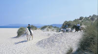 Guided Beach Horse Riding Excursion: Wild Atlantic Way Connemara image 1 Guided Beach Horse Riding Excursion: Wild Atlantic Way Connemara image 1