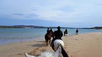 Guided Connemara Beach Horse Riding Tour from Cleggan along the Wild Atlantic Way image 1 Guided Connemara Beach Horse Riding Tour from Cleggan along the Wild Atlantic Way image 1
