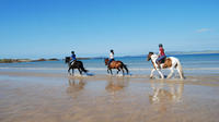 Half-Day Tour: Connemara Wild Atlantic Way Guided Beach Horseback Ride from Galway image 1 Half-Day Tour: Connemara Wild Atlantic Way Guided Beach Horseback Ride from Galway image 1