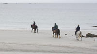 Half-Day Tour: Connemara Wild Atlantic Way Guided Beach Horseback Ride from Galway image 1 Half-Day Tour: Connemara Wild Atlantic Way Guided Beach Horseback Ride from Galway image 1