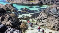 Private Tour: Wild Atlantic Way Sea Kayaking and Coasteering Tour in Connemara