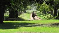 Private Day Tour to an Argentinian Estancia