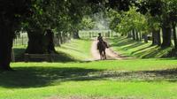 Private Tagestour zu einer argentinischen Estancia Private Tagestour zu einer argentinischen Estancia