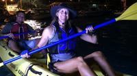 Beginner Kayak Tour: New York After Dark