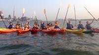 Skyline Kayak Tour Manhattan