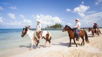 Roatan Combo Tour: Jungle Horseback Riding and Beach Break