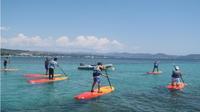 Stand Up Paddle Board Rental in La Ciotat