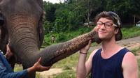 Visita de medio día a un asilo de elefantes en Chiang Mai Visita de medio día a un asilo de elefantes en Chiang Mai