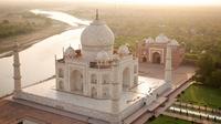 Taj Tigers and Majestic Forts Tour from Delhi 