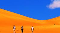 Private or Group Full Day Tour to Wahibah Sands Desert and Wadi Bani Khalid from Muscat