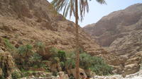 Private or Group Full Day Wadi Shab and the East Coast From Muscat