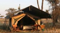 5 Day Private Safari to Tarangire, Serengeti National Park and Ngorongoro Crater from Moshi