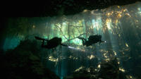 Cenotes and Caverns 2-Tank Dive Tour 