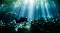 Silver Diving Package: 5 Days and 10 Cavern and Cenote Dives
