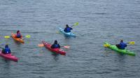 Bois Blanc Getaway Kayak Visite