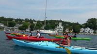Marina et Haldimand Bay Kayak Visite