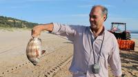 Full-Day Tour from Lisbon with Traditional Fisherman's Lunch in Setúbal