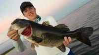 4-hour Lake Okeechobee Fishing Trip near Fort Pierce