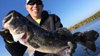 4-hour Lake Trafford Fishing Trip near Naples