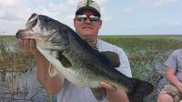 6-Hour Lake Trafford Fishing Trip near Naples