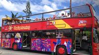 St Maarten Double Decker Bus Tour