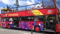 St Maarten Double Decker Bus Tour