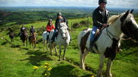 Scenic Horseback Riding Tour through Unspoiled Mountain Pastures of Tipperary image 1 Scenic Horseback Riding Tour through Unspoiled Mountain Pastures of Tipperary image 1