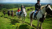 Two-Hour Horseback Mountain Trail Ride in Tipperary