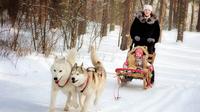 St. Petersburg Winter Peterhof Tour and Malamute Sledding